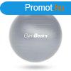 GymBeam Fitball fitness labda 65 cm szrke