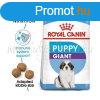 Royal Canin Giant Puppy 3,5 kg