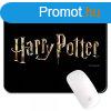 Harry Potter 045 egrpad (WMPHARRY016)