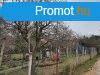 Elad 2 876m2-es Tglalaks, Budars