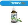 Stevia csepp 50ml