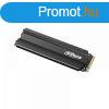 SSD Dahua E900N1TB