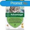 Parazitaellenes Advantage MOST 33992 HELYETT 22348 Ft-rt!