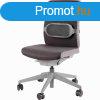 Derktmasz, hordozhat, Fellowes Smart Suites