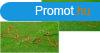 3D Trbeli Koordincis Ltra PRO-SPORT