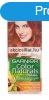 Garnier Color Naturals krmhajfestk 7.40 rzki rzvrs
