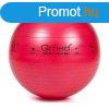 Fizioball gimnasztikai labda 55 cm Qmed - piros