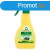 Frosch vegkermia fzlap tisztt spray 300 ml