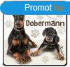 Kutys htmgnes, Dobermann
