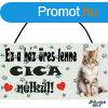 Cics falikp, Ragdoll cica