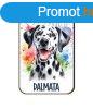 Kutys fa htmgnes, Dalmata