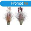 Dekor nvny DKD Home Decor Narancszn Polietiln Burgundi S