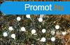 Fzr MagicHome Karcsony Cherry Balls, 100 LED hideg fehr,