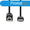 Nedis CCGL60650BK10 USB-C dug - USB- B dug (USB C - USB B)