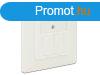 DeLock Keystone Wall Outlet 2 Port compact