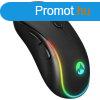 Everest SM-W75 -X-RAPID Wireless RGB Mouse Black