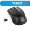 Gembird MUSW-4B-04 Wireless optical mouse Black