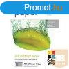COLORWAY Fotpapr, fnyes ntapad (glossy self-adhesive), 