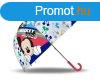 Automata eserny tltsz Mickey egr