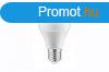 Szrkletrzkels LED lmpa E-27 10W 3000K