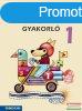 Matematika gyakorl 1. - MS-1663U