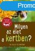 Brbel Oftring - Milyen az let a kertben? - 85 llat s nv