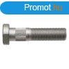 Kerkcsavar 22022057 - M18 x 81 mm