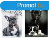 Kutys French Bulldogs gynemhuzat s polr takar szett