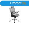 Equip Szk - 651050 (Premium, ergonomikus, Max teherbrs: 1