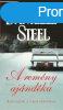 Danielle Steel: A remny ajndka