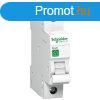 Schneider R9F04110 RESI9 1P B 10A kismegszakt