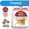 Royal Canin Regular Fit 32 10 kg