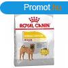 Royal Canin Medium Dermacomfort 12 kg