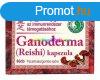 Szerves Pecstviaszgomba, Ganoderma, Reishi 60 db kapszula, 