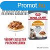 Royal Canin Cat Hair & Skin Care szszban 85 g