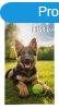 Best Friend kutyusos trlkz 70x140 cm