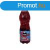 dtital 0,5l Cappy ice fruit meggy DRS