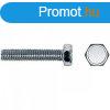 Csavaros doboz CELO 5 x 10 mm Hatszg 500 egysg horganyzot