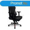 ARENARACER Premiere gamer szk