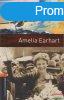 Janet Hardy-Gould - Amelia Earhart