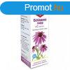 Dr. Herz Echinacea csepp C-vitaminnal (50 ml)