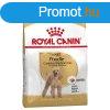 Royal Canin Poodle Adult 0,5 kg
