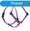 LUPINE Roman hm (Spring Fling 1,25 cm szles 31-50 cm)