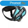 JULIUS-K9 IDC Powerhm "Aquamarine" (Mret: Baby 2