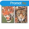 Kp DKD Home Decor 52 x 2,7 x 72 cm Tigris modern (2 egysg)