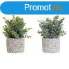 Dekor nvny DKD Home Decor Vza Zld Gyanta PE (10,5 x 10,5
