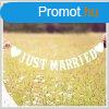 Just Married eskvi girland AP20446