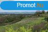 Panorms ingatlan elad! - Ktcse