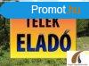 Elad 2518 nm-es Egyb Dabas