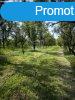 Elad fldterlet Pomz, 	Dolinai t